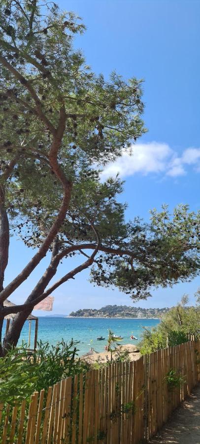Le Tamaya Plage Charmant T2 En Rez De Jardin A 2 Pas D Une Belle Plage De Toutes Commodites Et Centre Ville Port Cavalaire-sur-Mer Eksteriør bilde